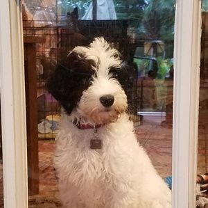 Meet your Posher, Taunya